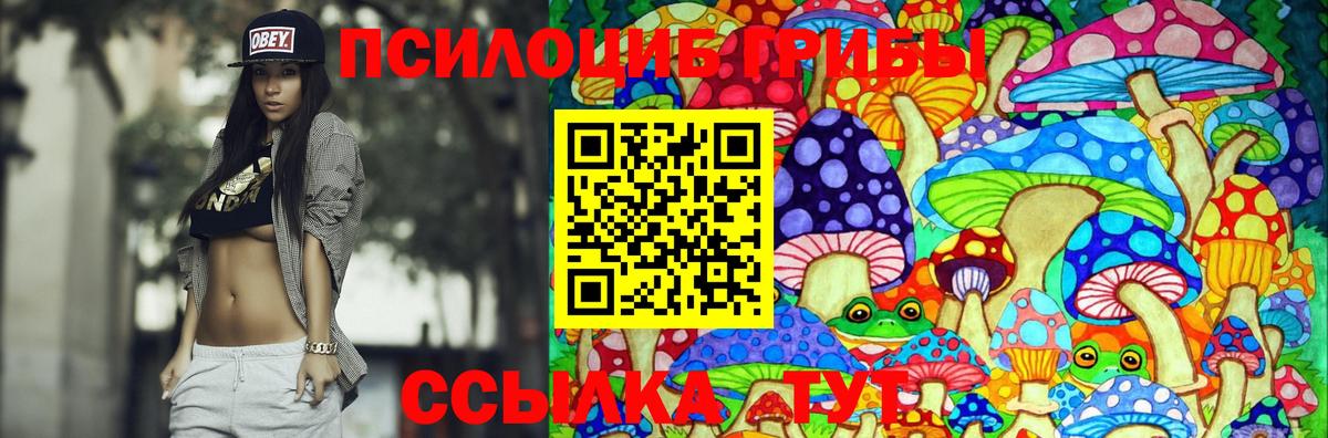 Псилоцибиновые грибы мухоморы Гусев