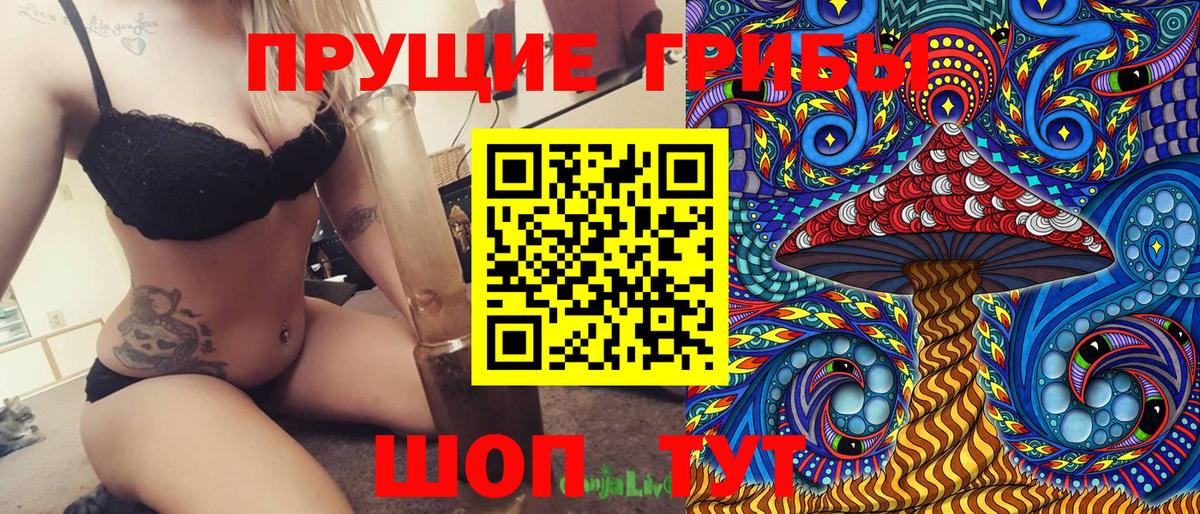 Гусев  Псилоцибиновые грибы Magic Shrooms  Вход с VPN 